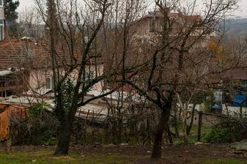 Obraz premium autumn landscapes