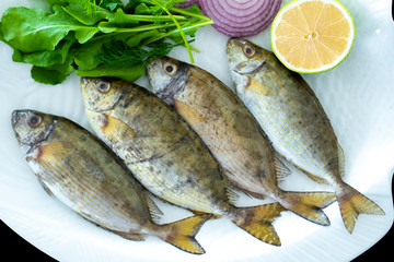 Fresh spotted spinefoot fish with rockets leaves served on white plate