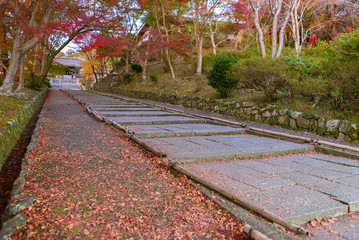 Idyllic uphill path in Bishamondo, Kyoto, Japan