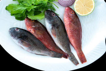 Mediterranean parrotfish with rockets leaves served on white plate