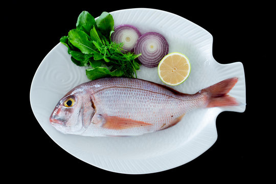 Red porgy as known as sea bream with rockets leaves served on white plate
