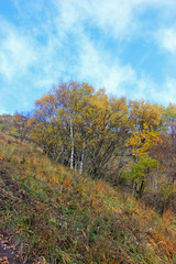 mountain natural scenery