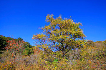 mountain natural scenery
