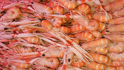 background prawns for sale on the market