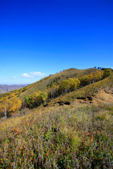 mountain natural scenery