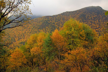 Fototapeta premium mountain natural scenery