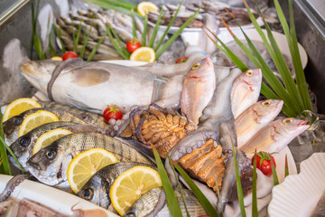 Lobster, octopus, cuttlefish, squid, calamari, red mullet, grouper, sea bass, sea bream, bogue fish, crab and prawns on ice at supermarket
