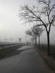 Niebla