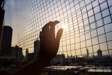 silhouette hand holding on iron net cage with blue sky and city background sunset - 237144587