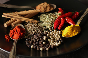 お皿に乗せた色々な香辛料