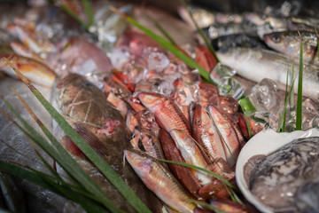 Lobster, octopus, red mullet, boops boops, sea bass, sea bream, white grouper, prawns and various fresh seafood and fishes in fish market
