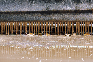Icicles on a doorstep of a car standing near a deep dirty puddle in winter thaw