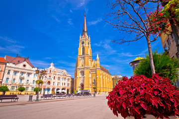 Freedom square and catholic cathedral in Novi Sad view