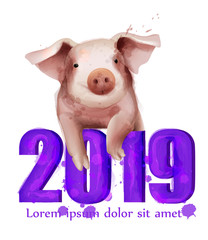 2019 Watercolor Chinese Pig year card Vector. Watercolor style Happy New Year holiday events