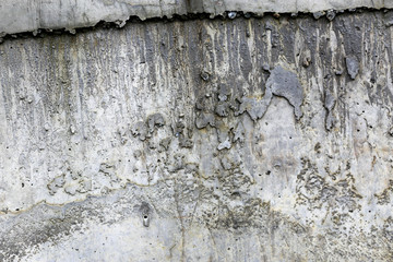 Fototapeta premium rough texture of a old gray wall.
