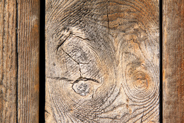 Woodiness grain