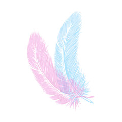 Vector hand drawn line art style feather for poster, banner, logo, icon. Fluffy feathers on transparent background in realistic style. Lightweight sketch illustration, for patterns, ink drawing
