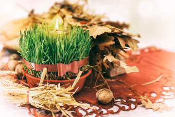 Christmas wheat with flame. Christmas offerings.