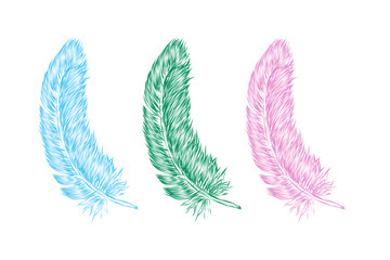 Vector hand drawn line art style feather for poster, banner, logo, icon. Set of colorful fluffy feathers on transparent background in realistic style. Lightweight sketch illustration, for patterns