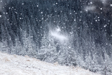 winter landscape with snowy fir trees in the mountains