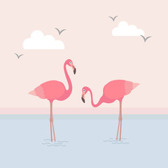 This is an image of the flamingo and the beach.