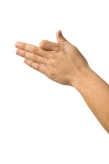 Male hand showing animal on white background