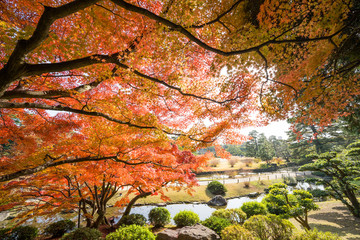 紅葉　栗林公園(香川県高松市)　2018年11月撮影