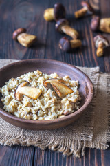 Risotto with porcini mushrooms