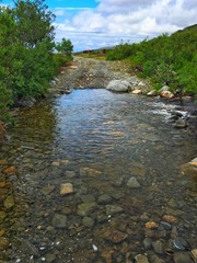 Lake in tundra< in northern Russia