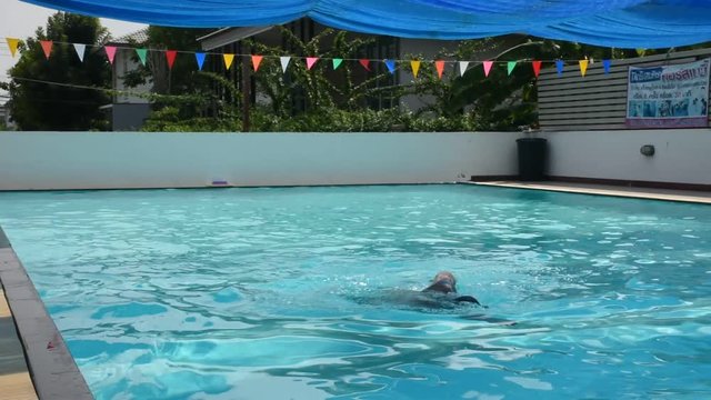 Thai fat men swim and playing in water at swimming pools of sports club at outdoor on November 22, 2018 in Nonthaburi, Thailand