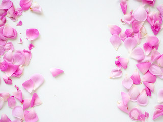 Obraz na płótnie Canvas pink rose petals on white background