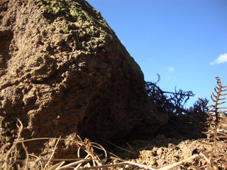 barbacena