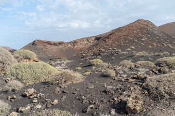 Desert stone volcanic landscape in Lanzarote, Canary Islands