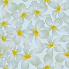 Obraz na płótnie Canvas Seamless background. Flowers. Plumeria. Frangipani.