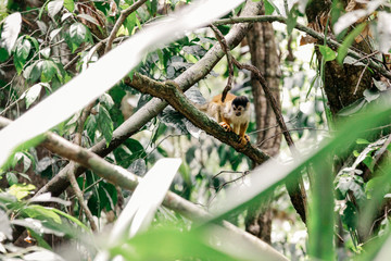 Costa Rica 2016