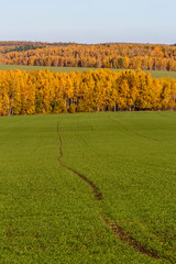 Spassko-Lutovinovo estate