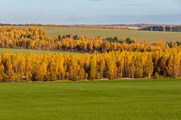 Spassko-Lutovinovo estate