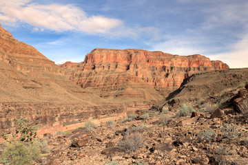 Crand Canyon Arizona im Frühling