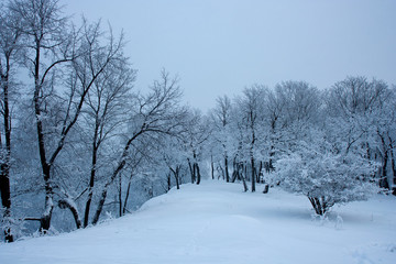 The view on the Volga river and Zhiguli hills near Zhigulevsk city in  winter.