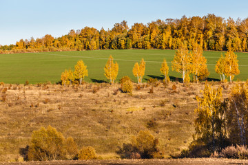 Spassko-Lutovinovo estate