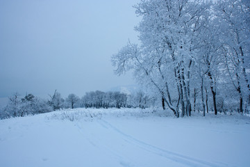 The view on the Volga river and Zhiguli hills near Zhigulevsk city in winter.