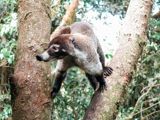 Costa Rica 2016
