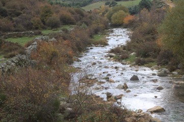 River of the Sierra de Gadarrama in Madrid.