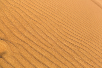 Small Stripes Made By Wind in Desert
