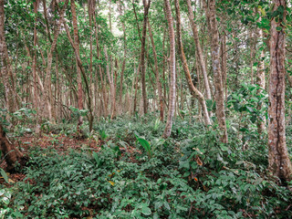 Costa Rica 2016