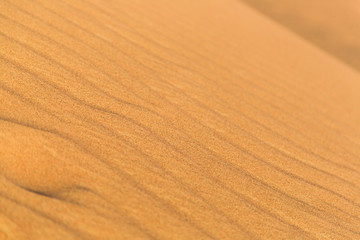 Small Stripes Made By Wind in Desert. Deep of Field.