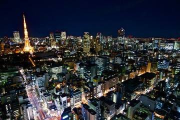東京の夜景　 The night view of Tokyo