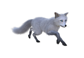 3d rendering of Arctic Fox ventures out to begin her daily search for food