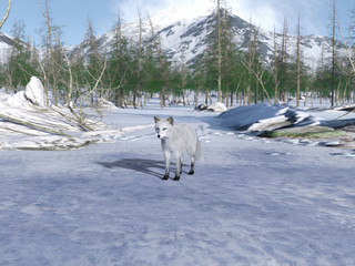 3d rendering of Arctic Fox ventures out to begin her daily search for food