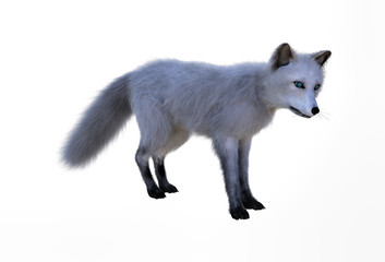 3d rendering of Arctic Fox ventures out to begin her daily search for food
